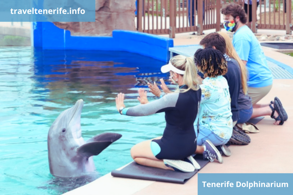 dolphinarium tenerife