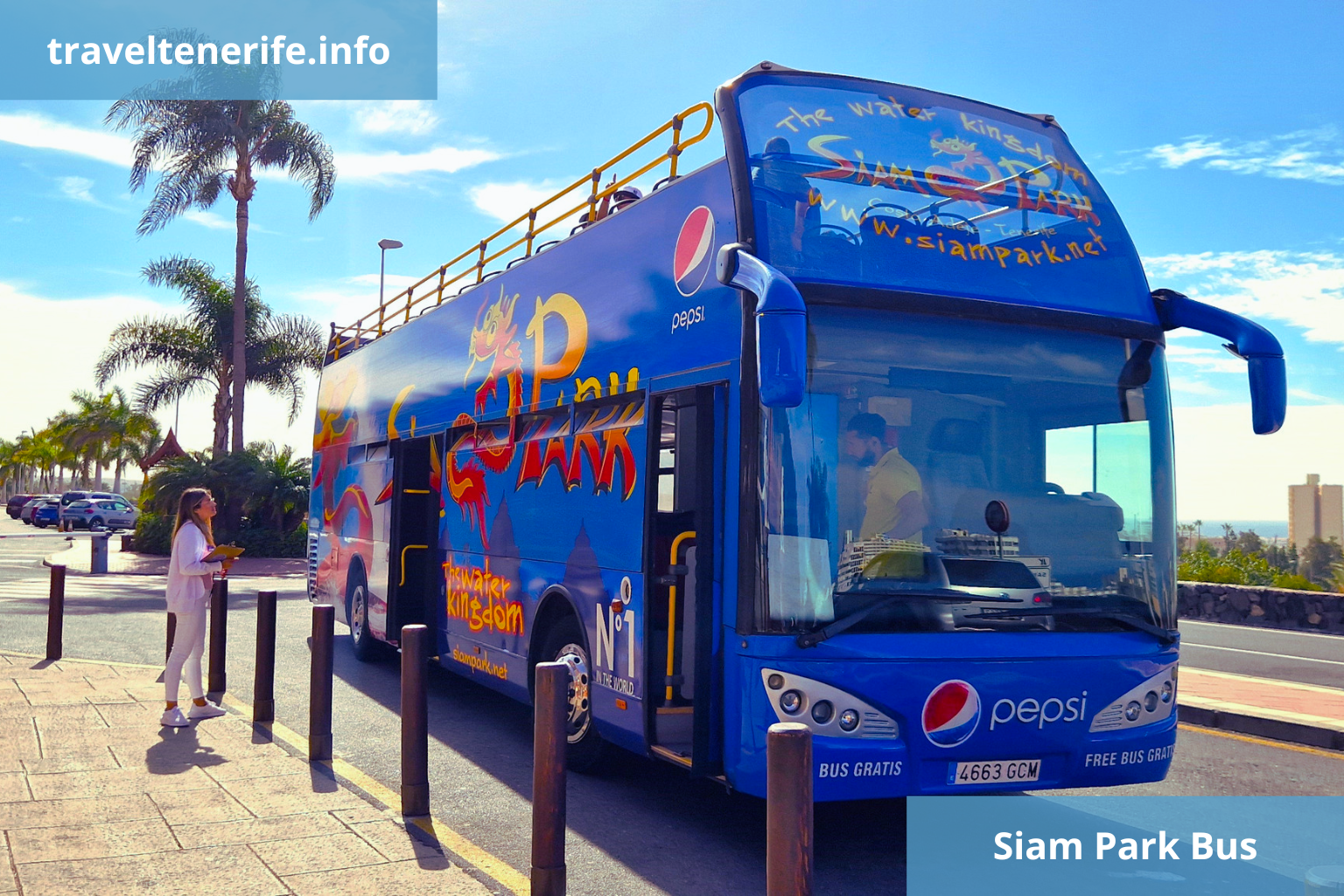 horario siam night bus
