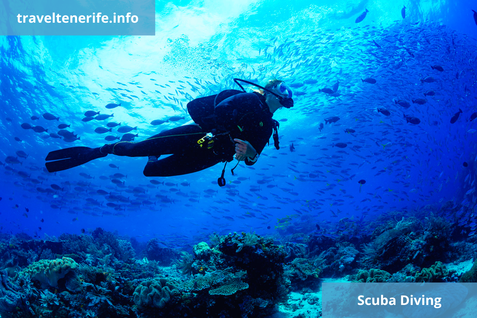 sporty wodne na teneryfie - nurkowanie