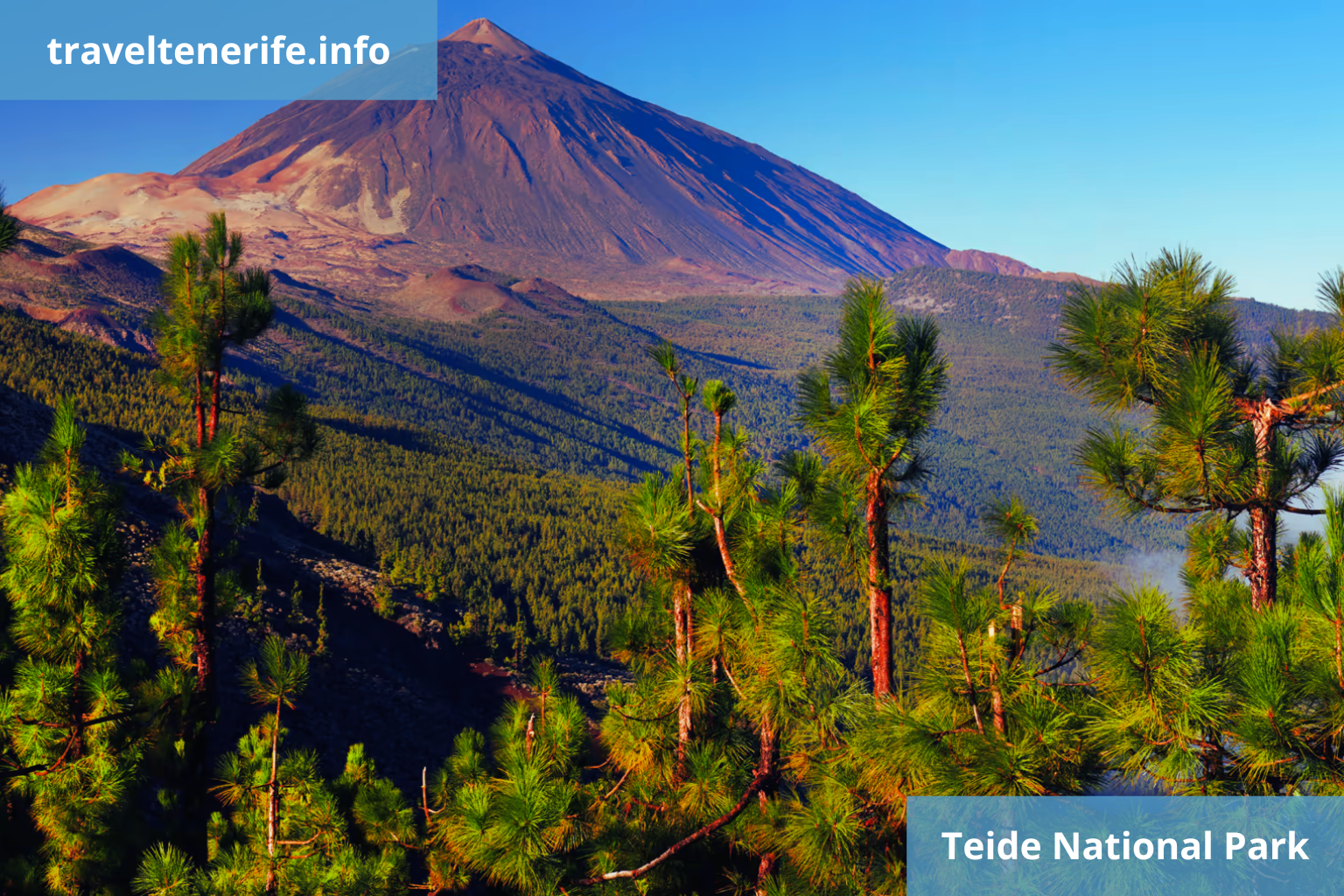 buggy teneryfa park narodowy teide