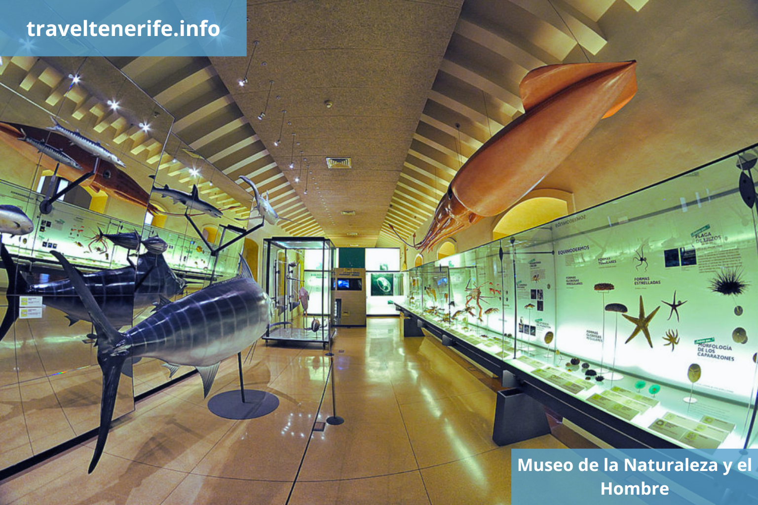Museum of Nature Tenerife