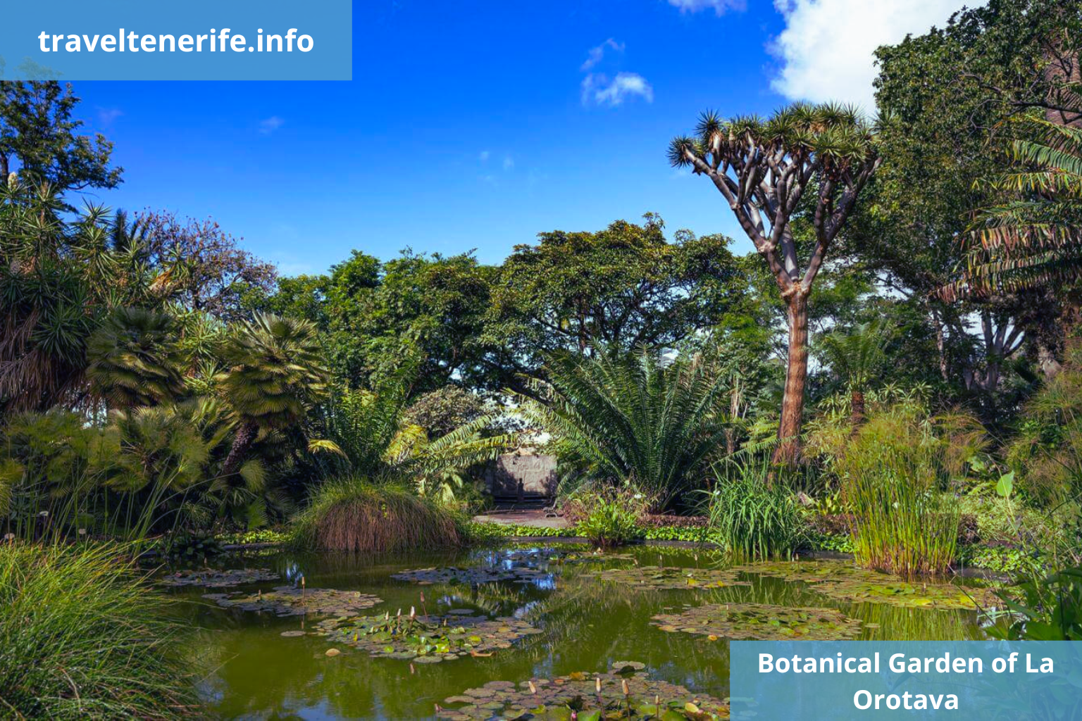 botanic garden la laguna