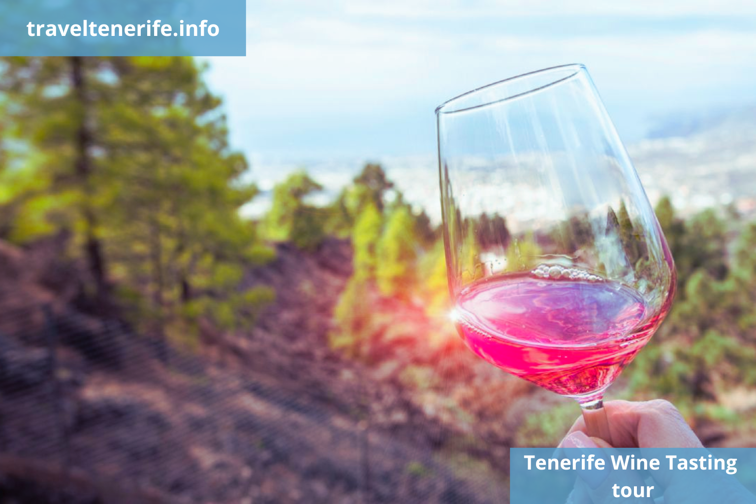 wine excursions in tenerife