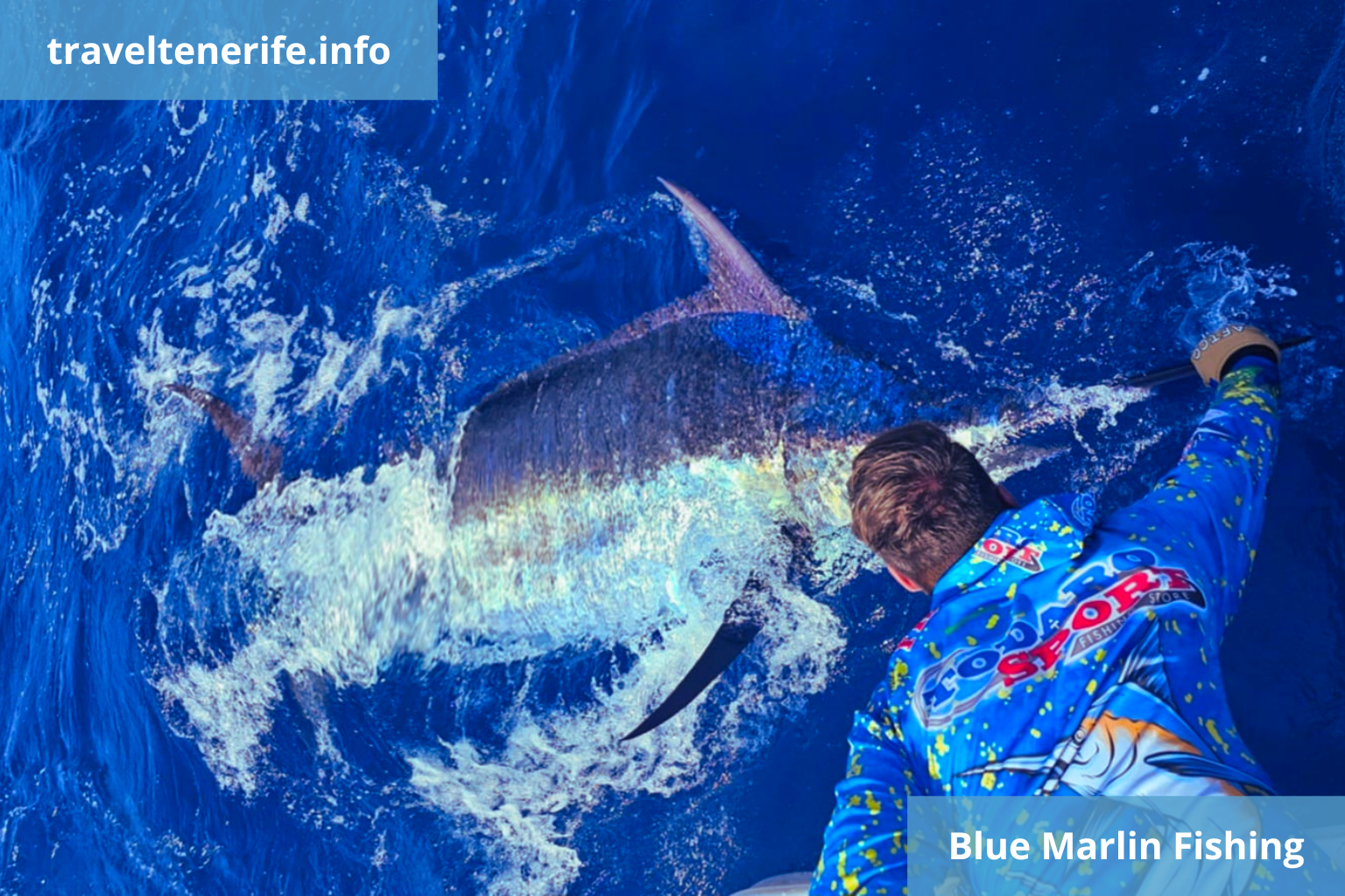 fishing blue marlin in tenerife