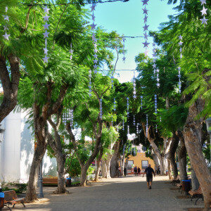 street-scene-icod-de-los-vinos