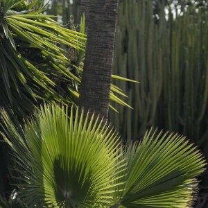 aloe-park-4-300x300-3611530