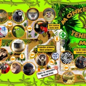 monkey-park-1-300x300-2460610