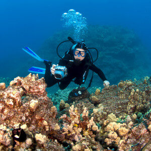 scuba-diver-taking-pictures-on-a-hawaiian-reef-9