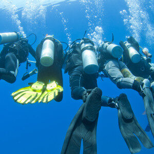 divers-on-a-rope-underwater-8