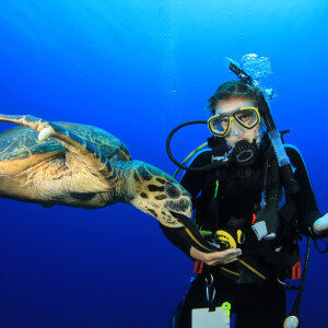 female-scuba-diver-encounters-curious-hawksbill-sea-turtle-8