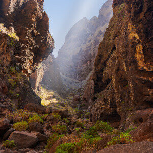 famoso-canon-masca-en-tenerife-canario-7