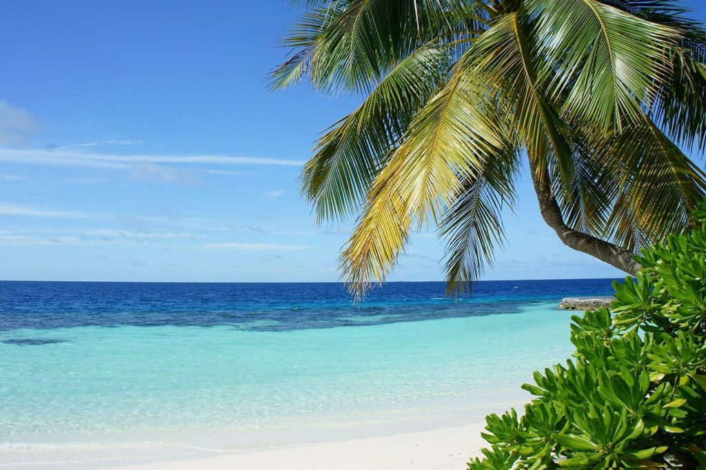 beach-maldives-1024x682-4038069