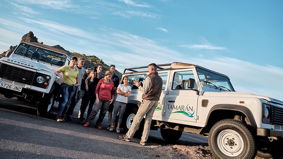 Jeep Safari Teide Masca - Image 4