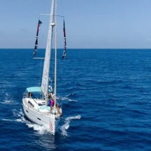 Maco Yacht Dolphin and whale watching