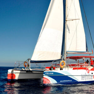 White paradise catamaran