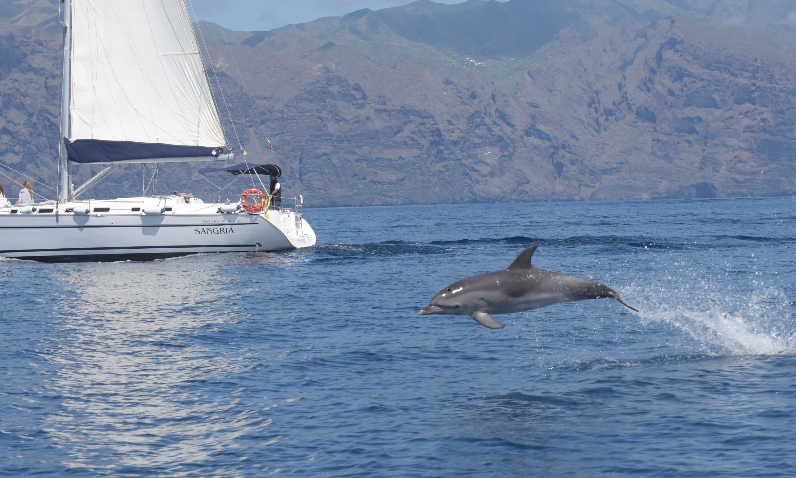 Luxury Sailboat - Image 2