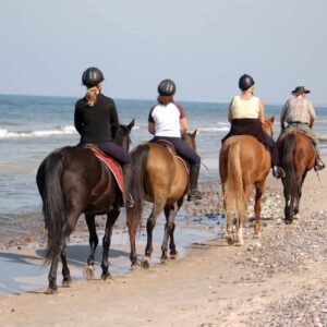 Horse riding Tenerife